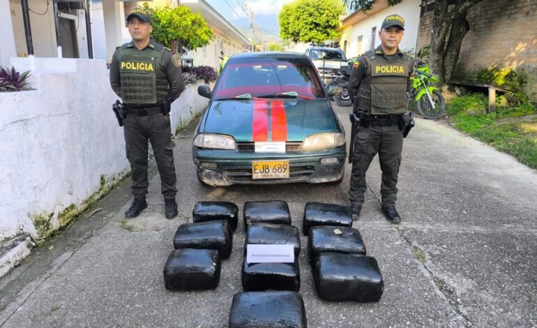 Despliegue policial en Huila permite incautación de 66 kilos de marihuana