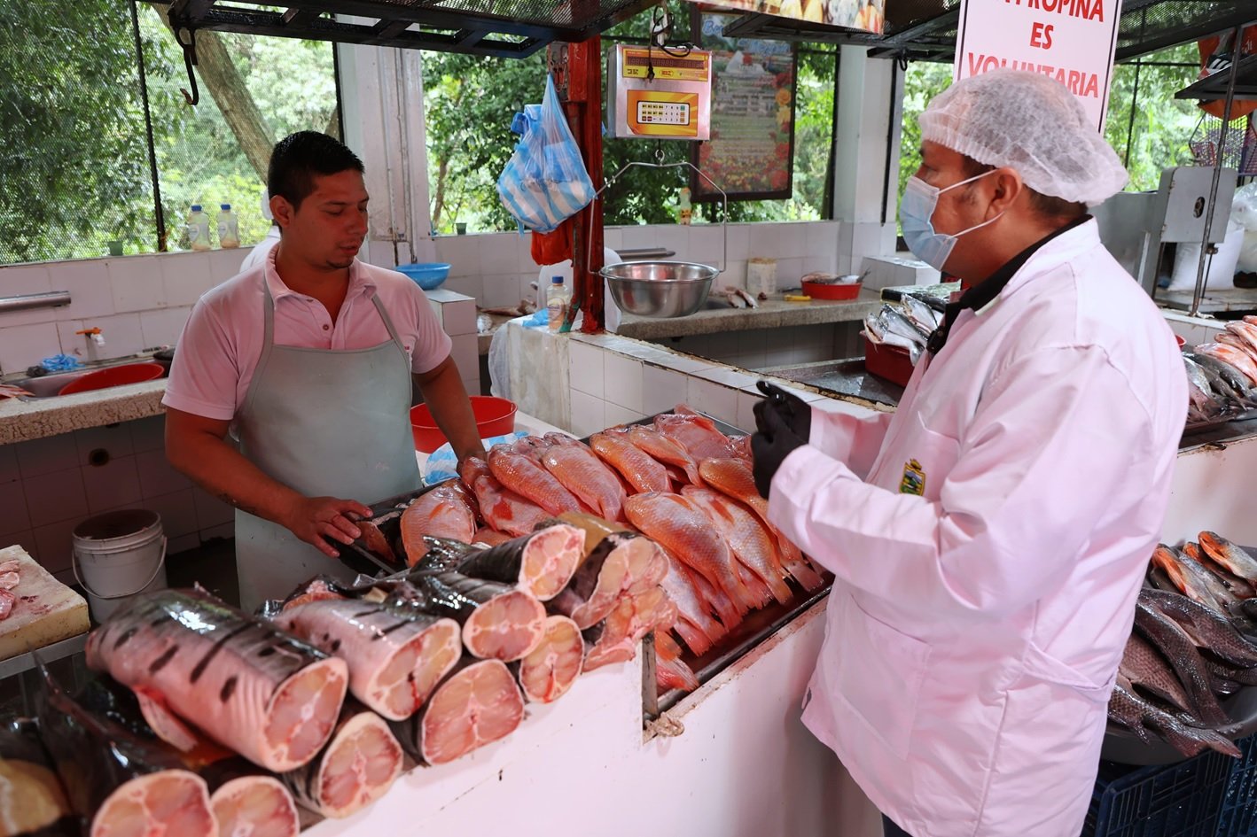Autoridades refuerzan controles de pescado en Neiva durante Semana Santa